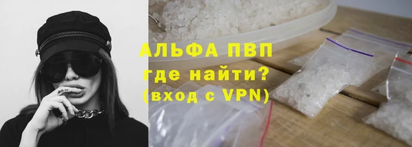 прущие грибы Абдулино
