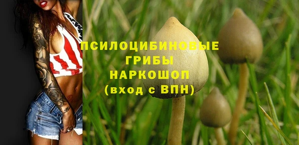прущие грибы Абдулино